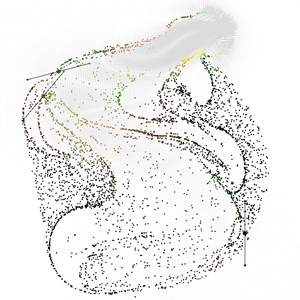 Stam GDC Fluid Simulation