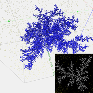 2D/3D Diffusion Limited Aggregation